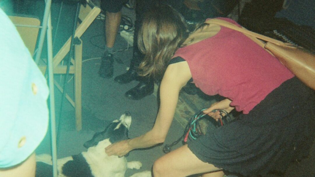 TERRINE + FRANTX + Rojin Sharafi